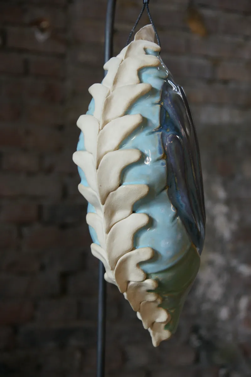 Cocon No. 7