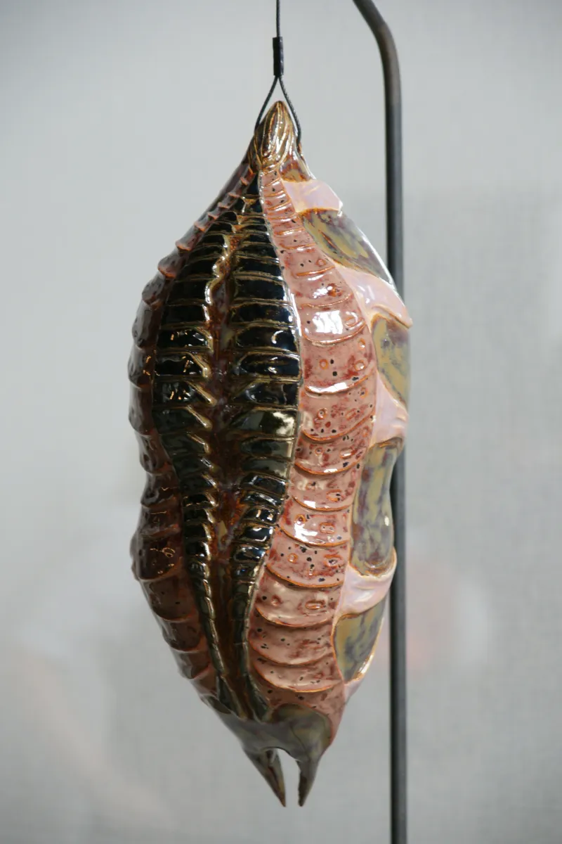Cocon No. 5
