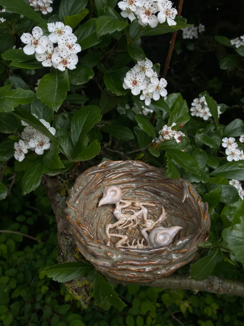 Abandoned bird’s nest