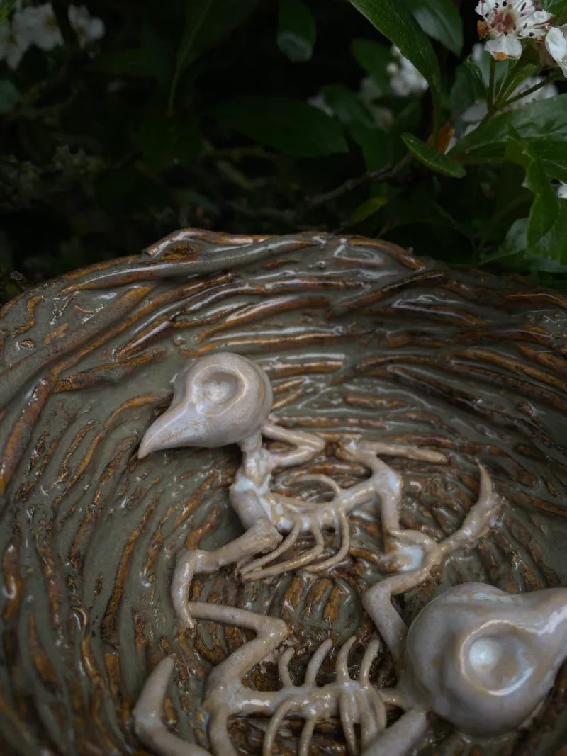 Abandoned bird’s nest