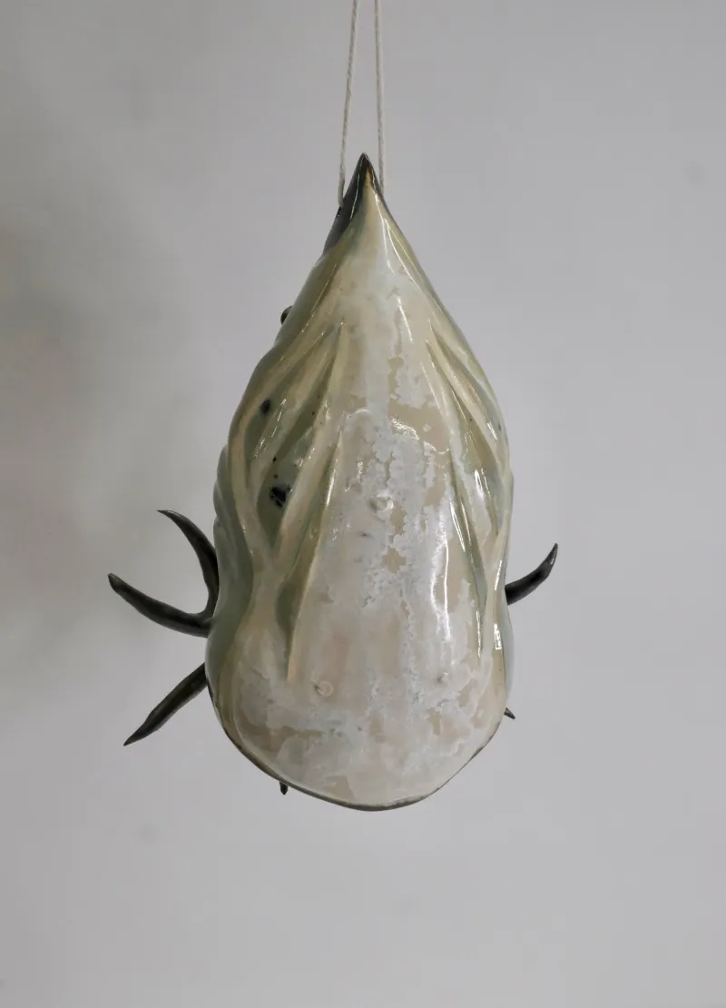 Cocon No. 6