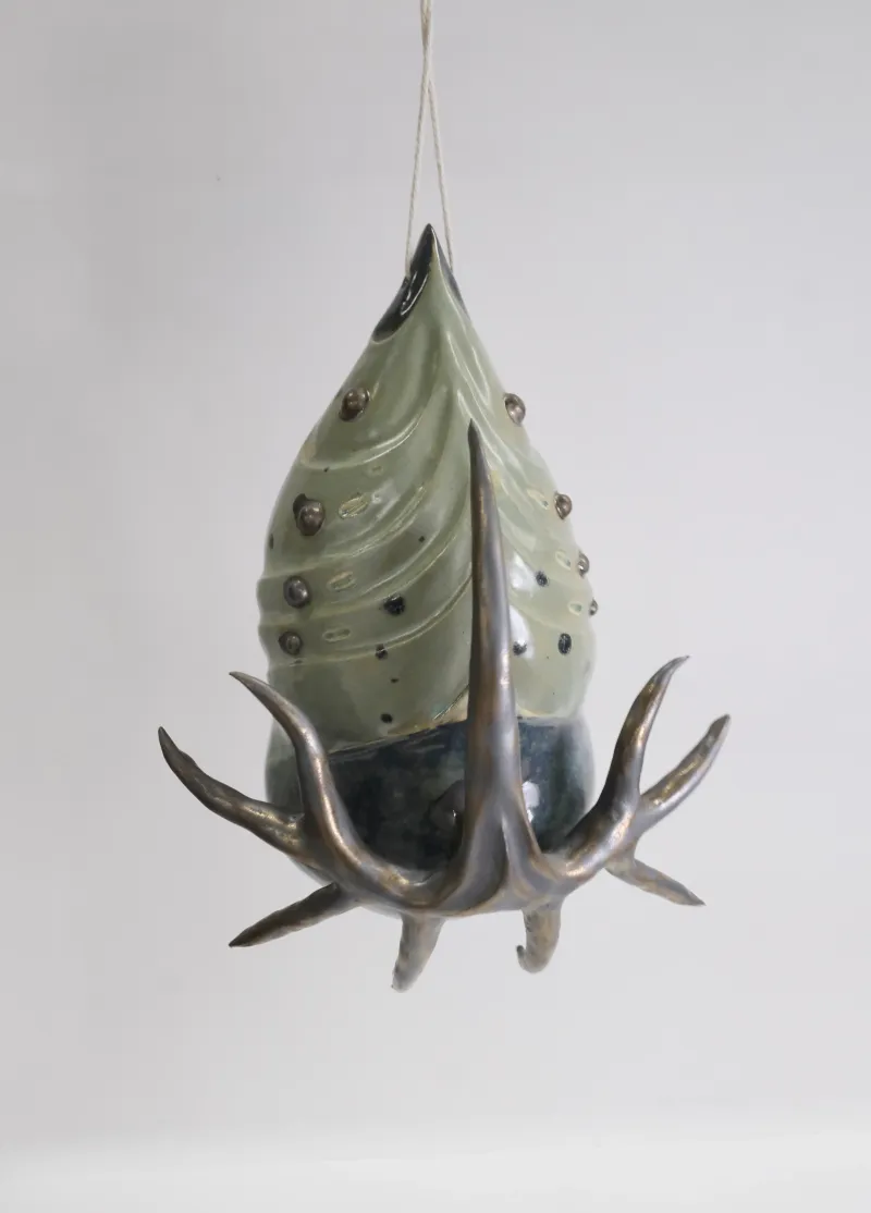 Cocon No. 6