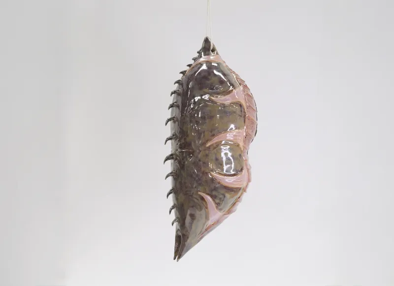 Cocon No. 5