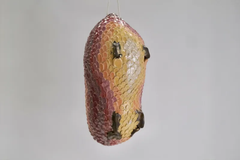 Cocon No. 4