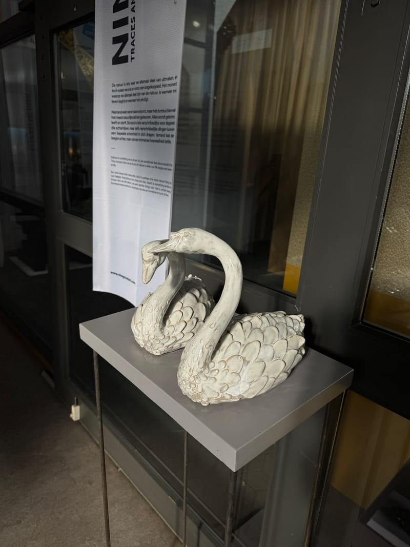 Zwanenpaar urn