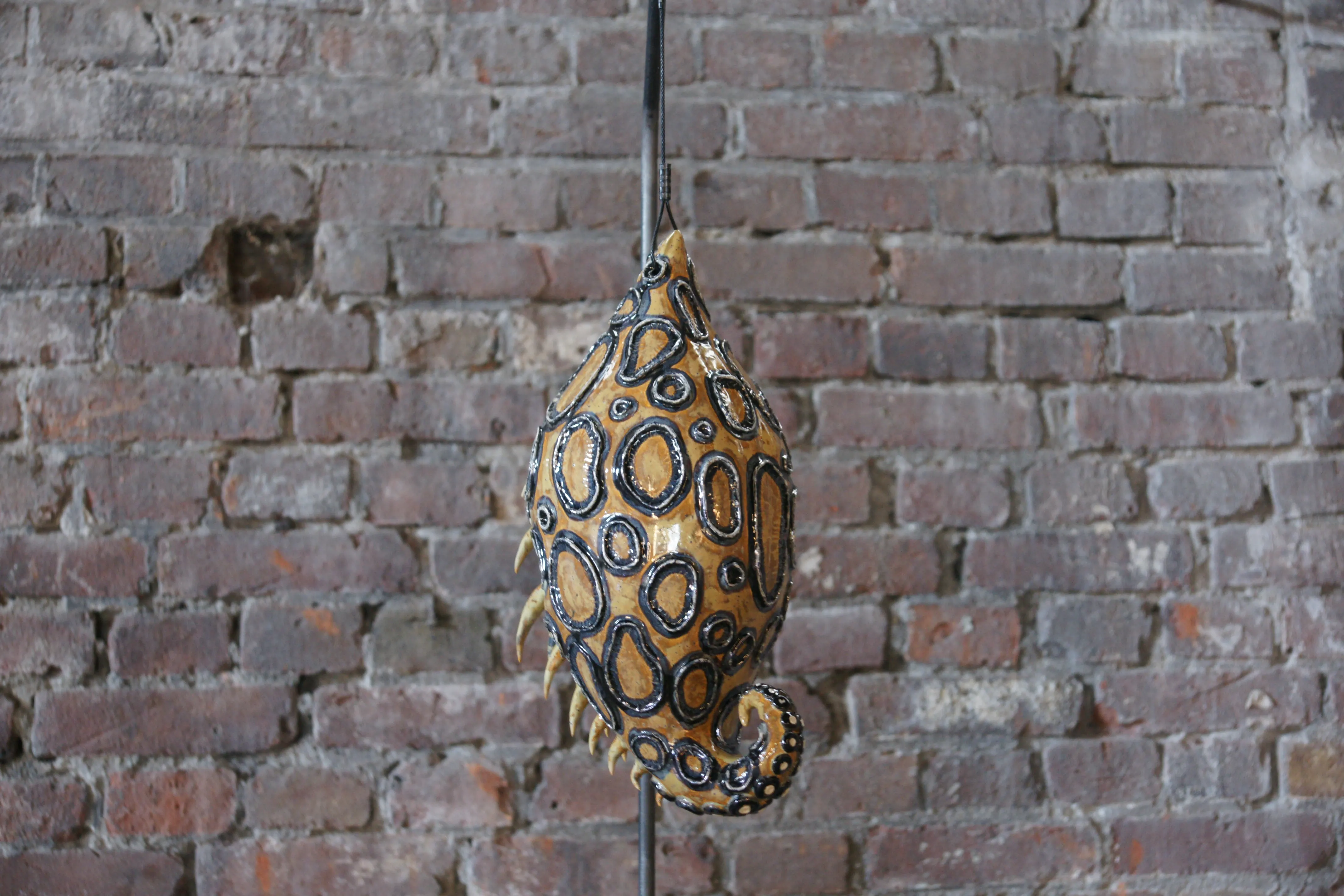 Cocon nr 11
