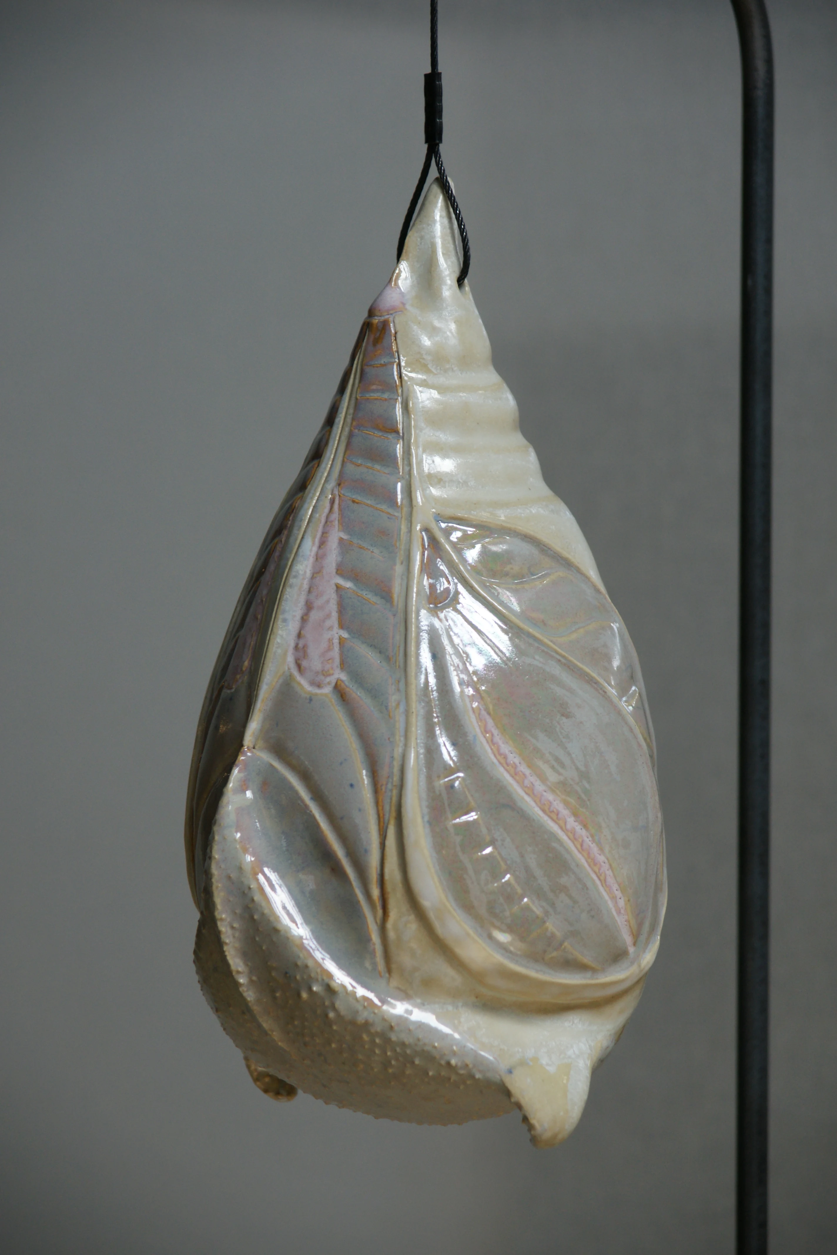 Cocon nr 9