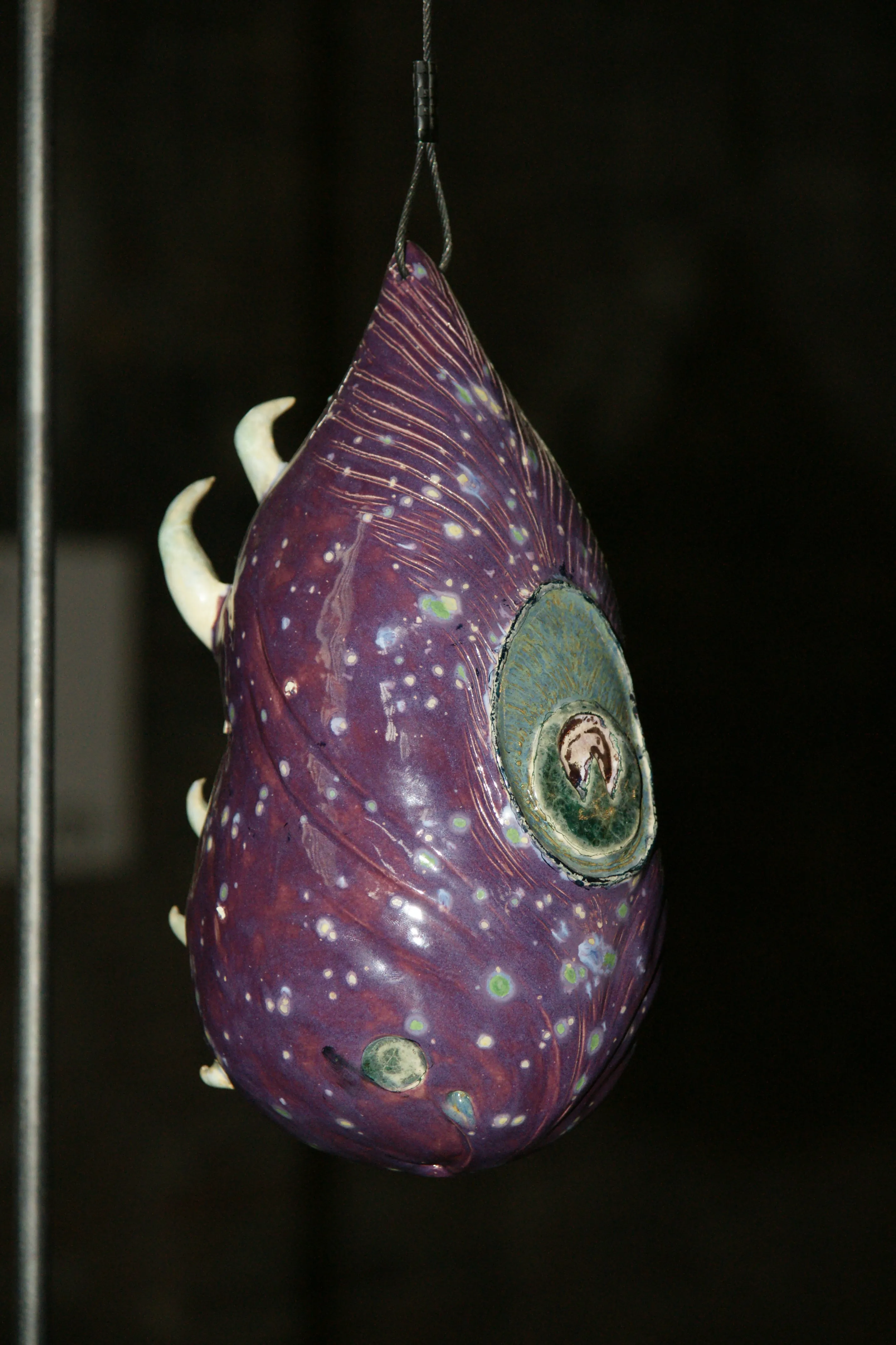 Cocon nr 12