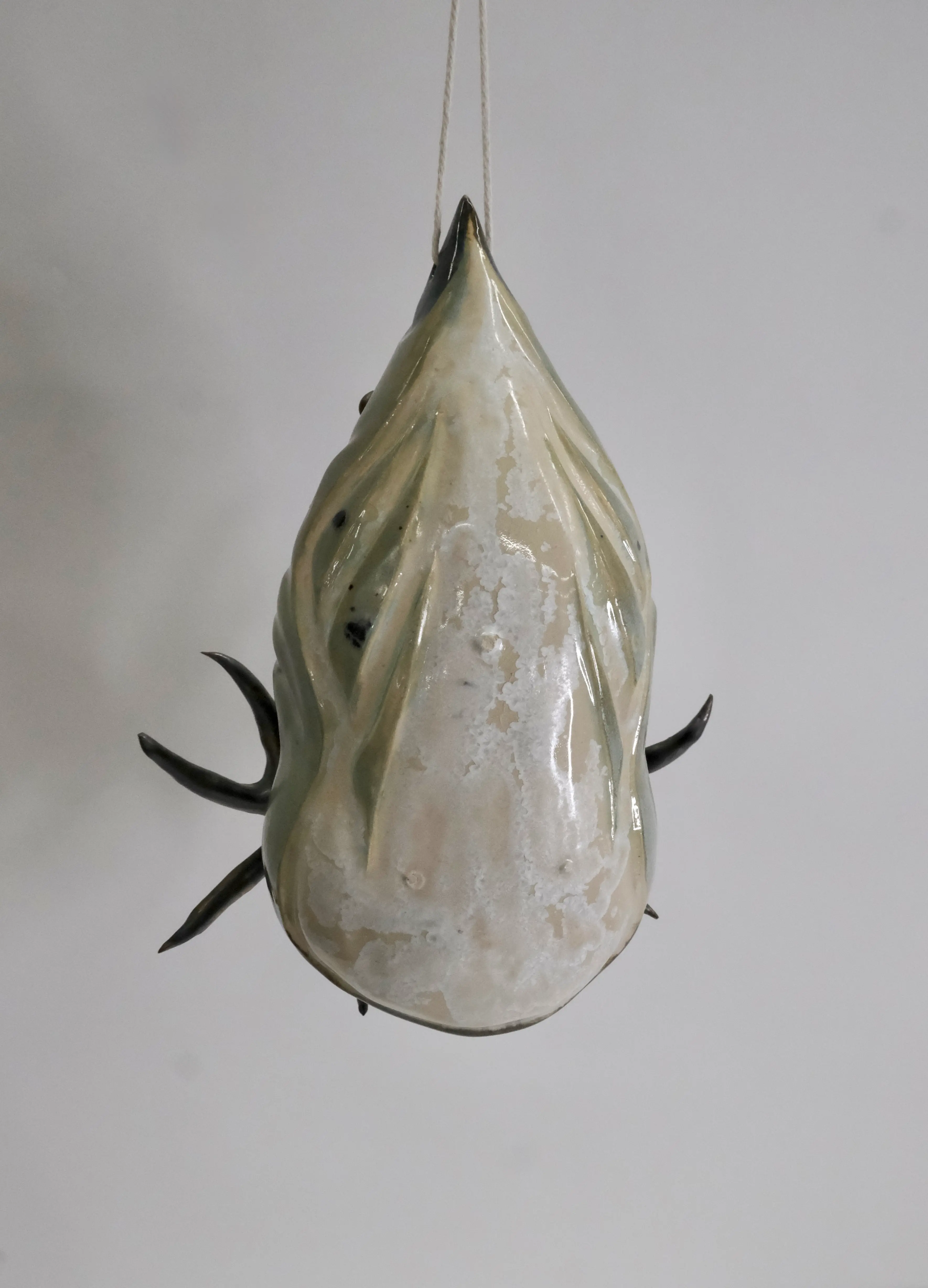 Cocon nr 6