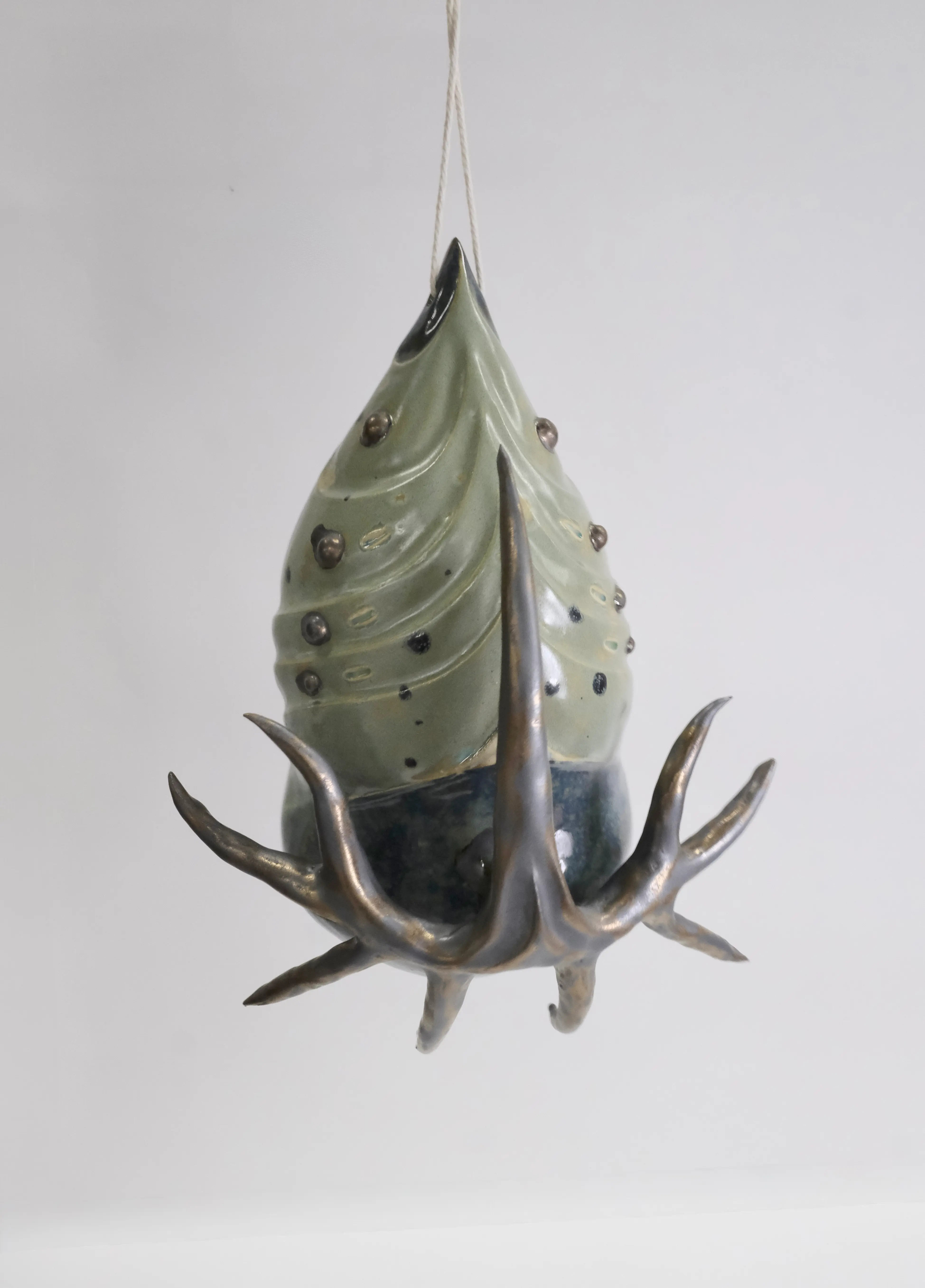 Cocon nr 6