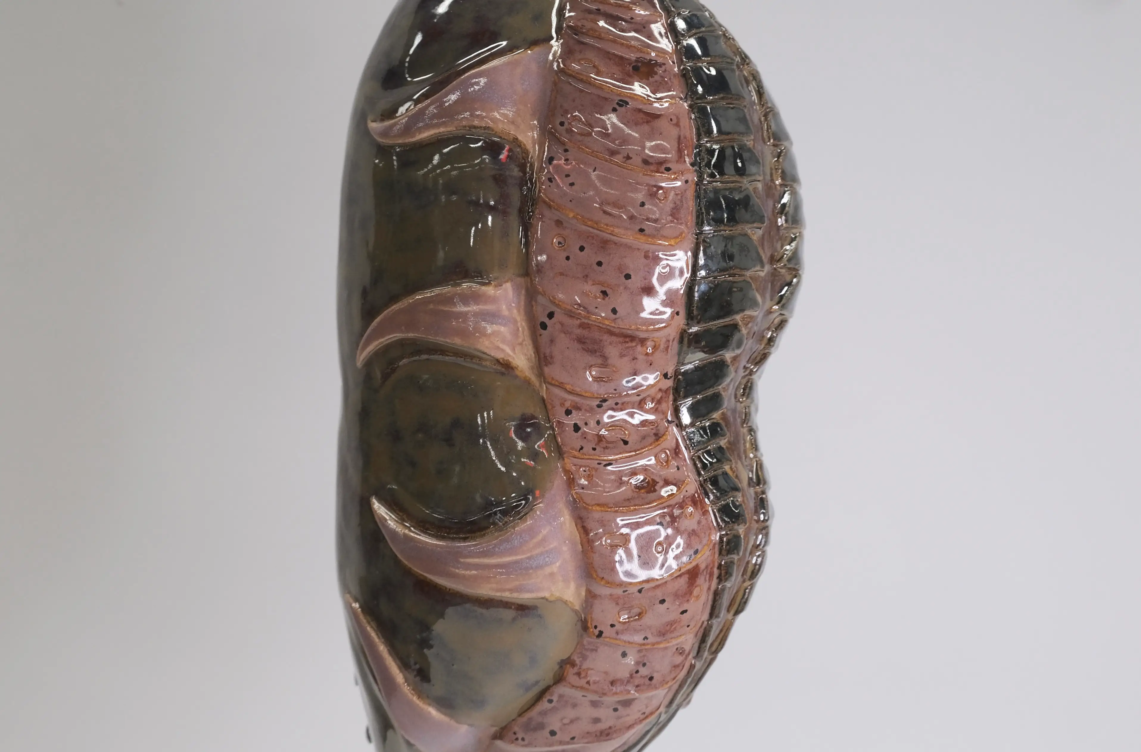 Cocon nr 5