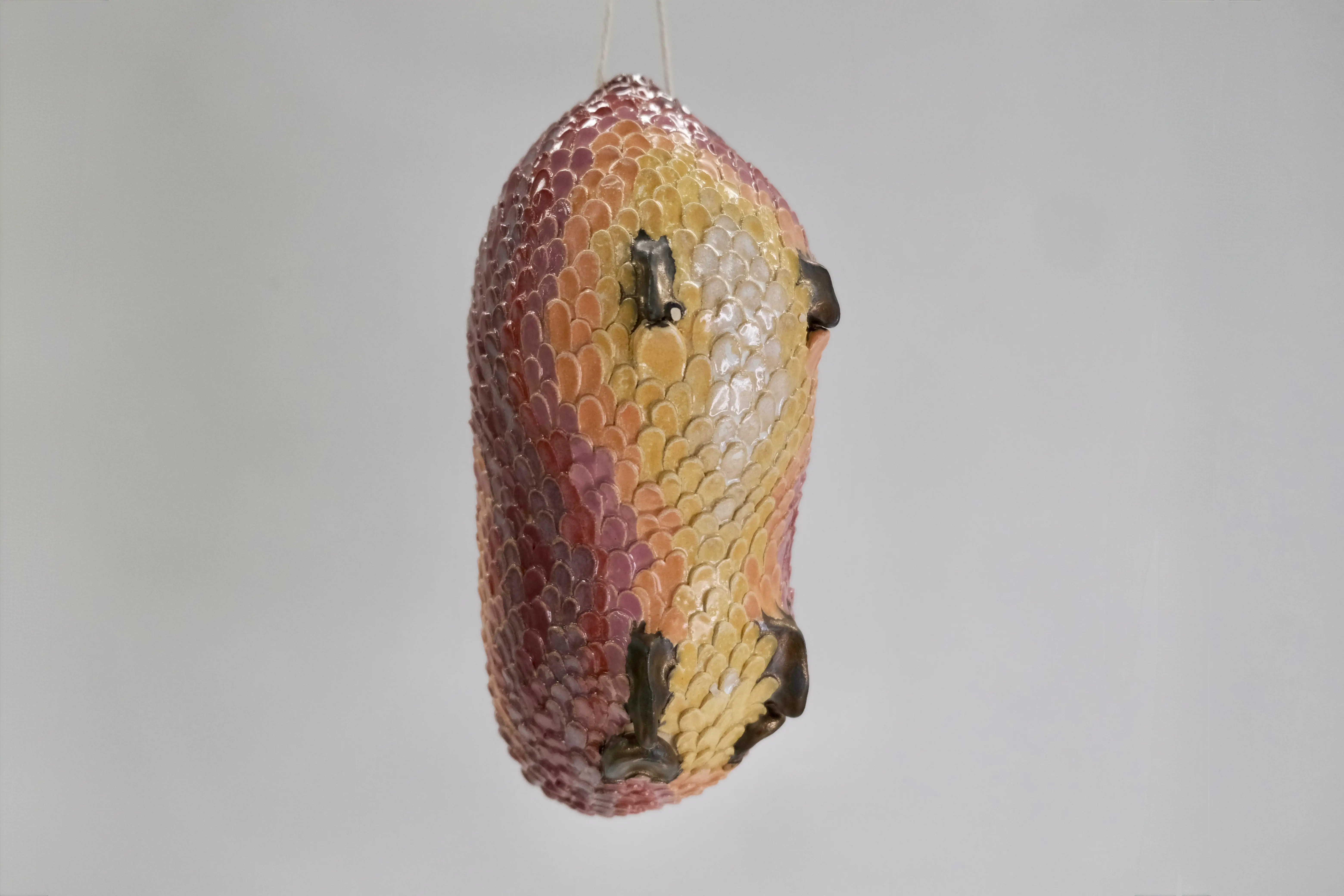 Cocon nr 4